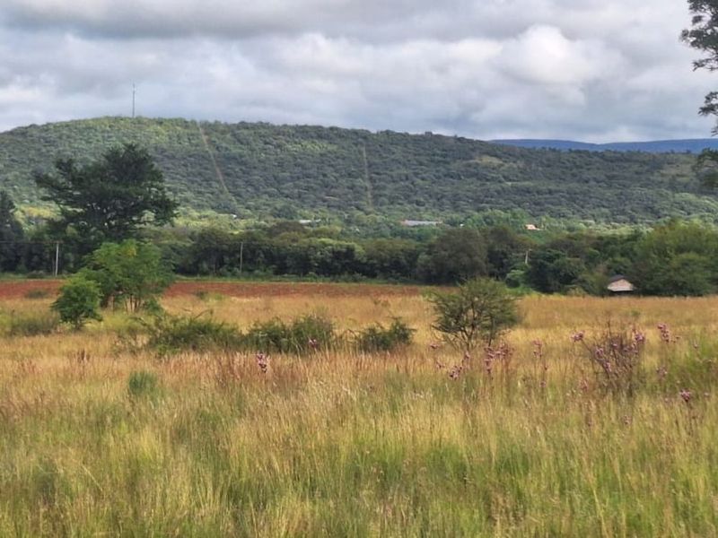 Farm For Sale in Magaliesburg - Photo 6