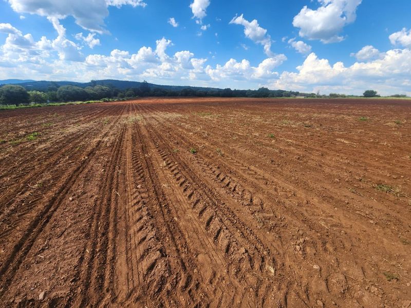 Farm For Sale in Magaliesburg - Photo 4