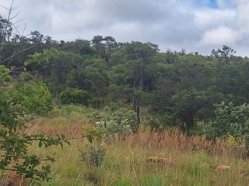 Farm For Sale in Magaliesburg - Photo 5