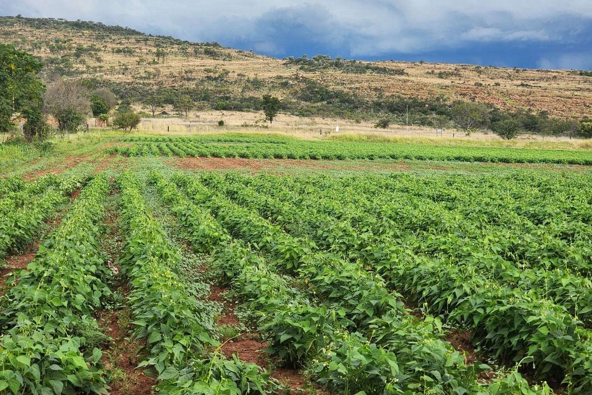 Farm For Sale in Magaliesburg - Photo 2