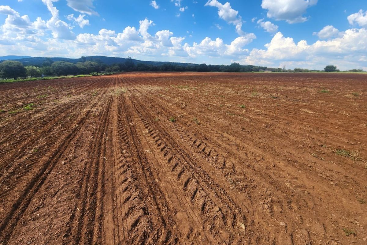 Farm For Sale in Magaliesburg - Photo 4