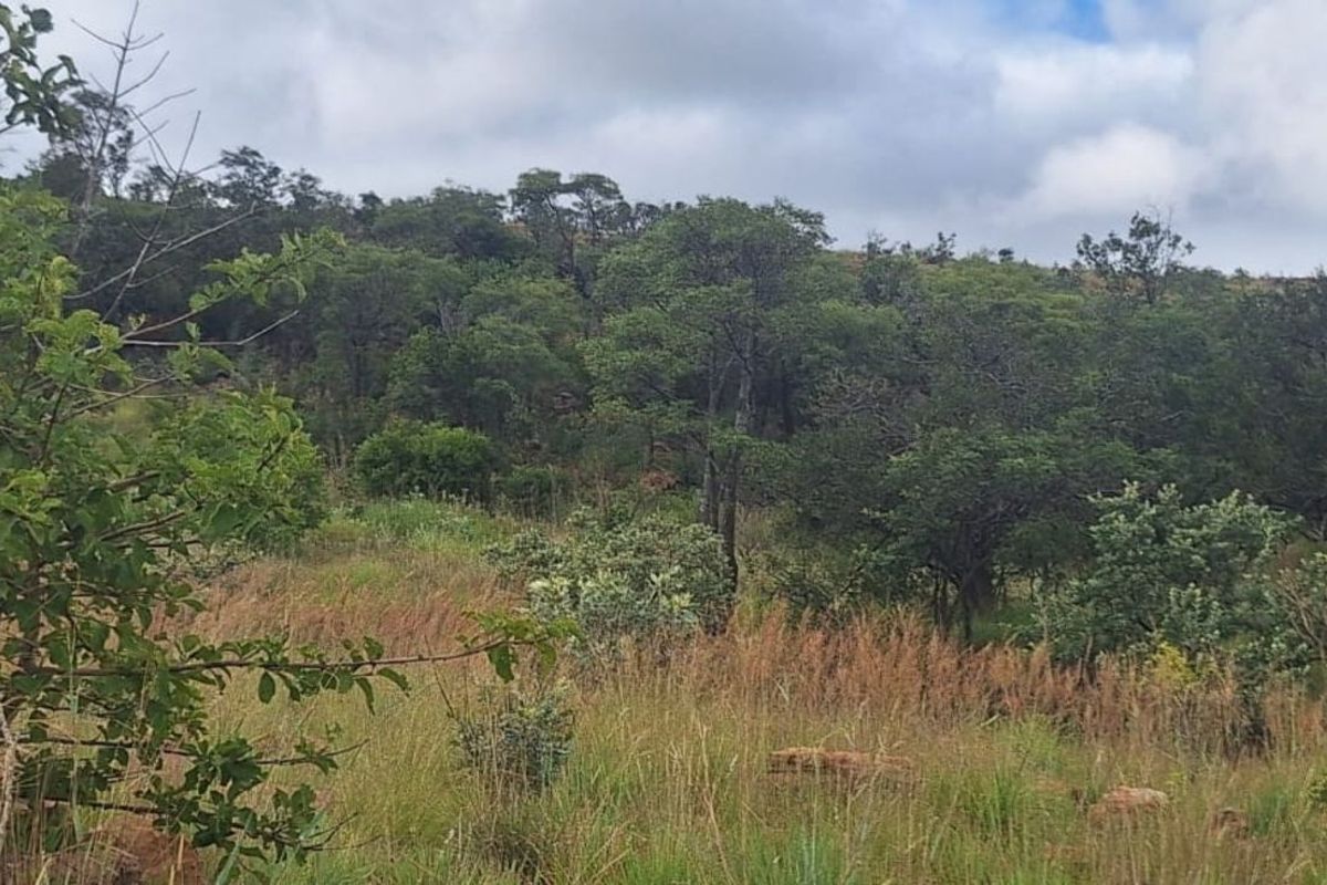 Farm For Sale in Magaliesburg - Photo 5