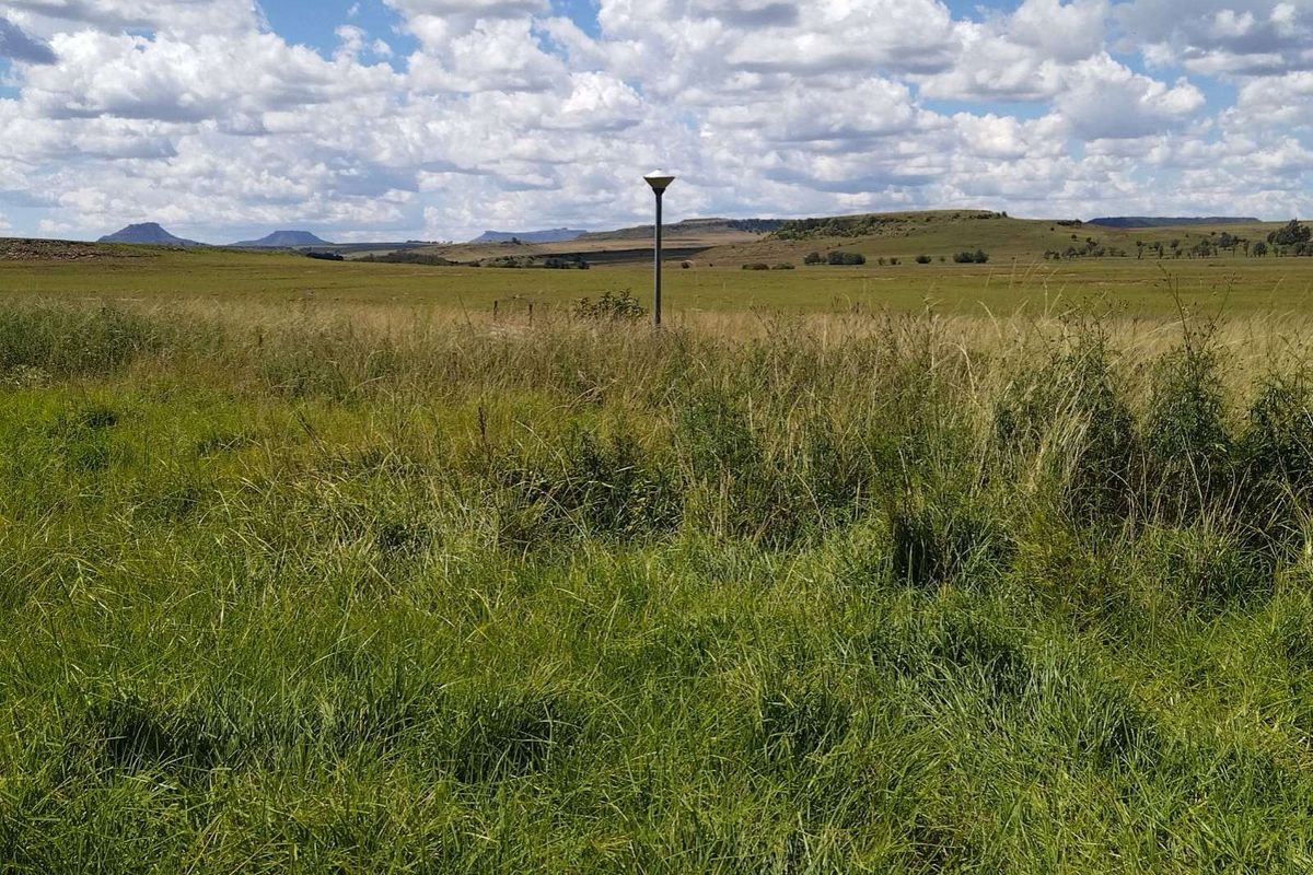 Farm For Sale in Hobhouse Rural - Photo 4