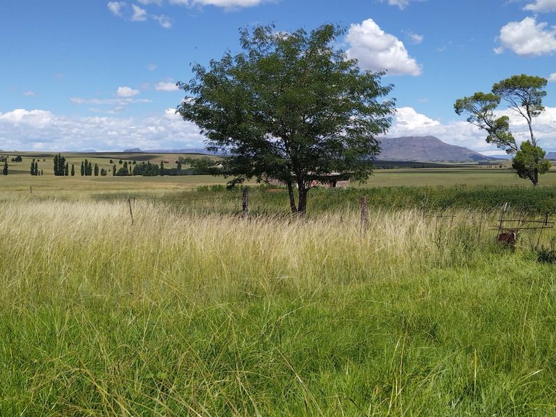 Farm For Sale in Hobhouse Rural - Photo 5