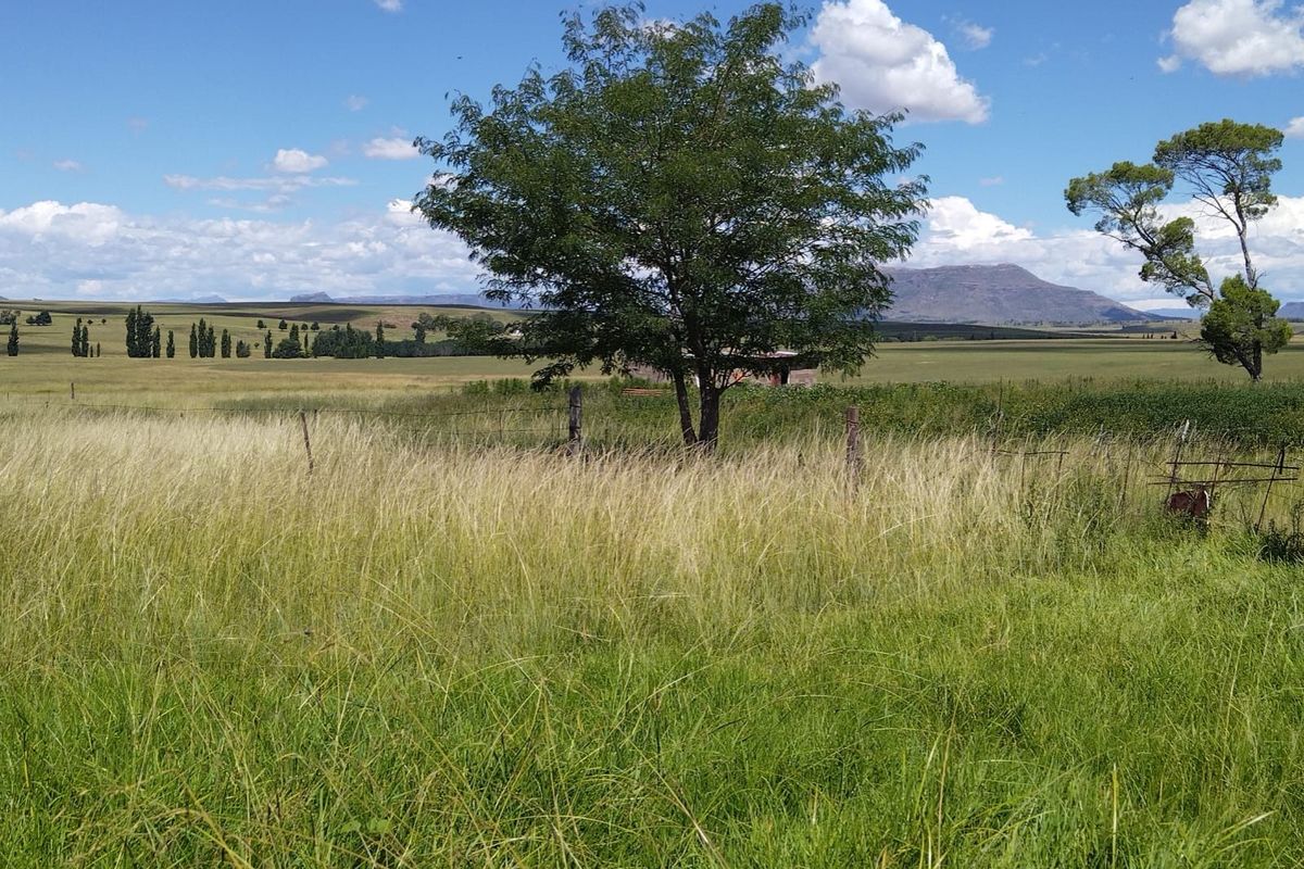 Farm For Sale in Hobhouse Rural - Photo 5