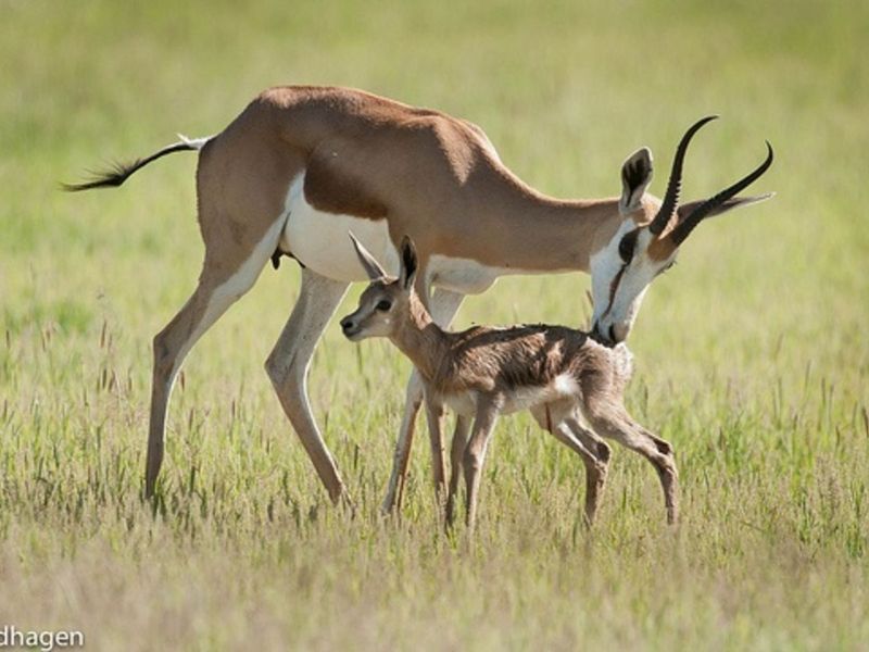 Vacant Land Residential For Sale in Vaal Marina Central - Photo 3