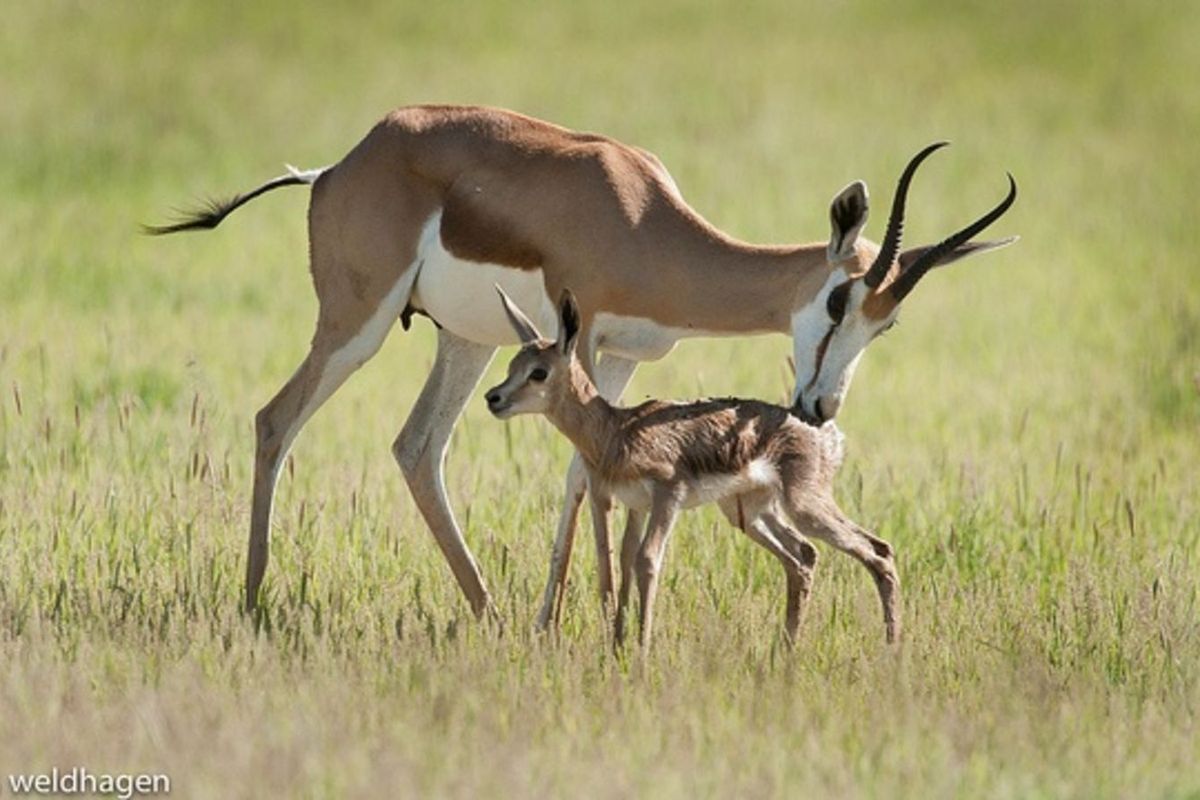 Vacant Land Residential For Sale in Vaal Marina Central - Photo 3