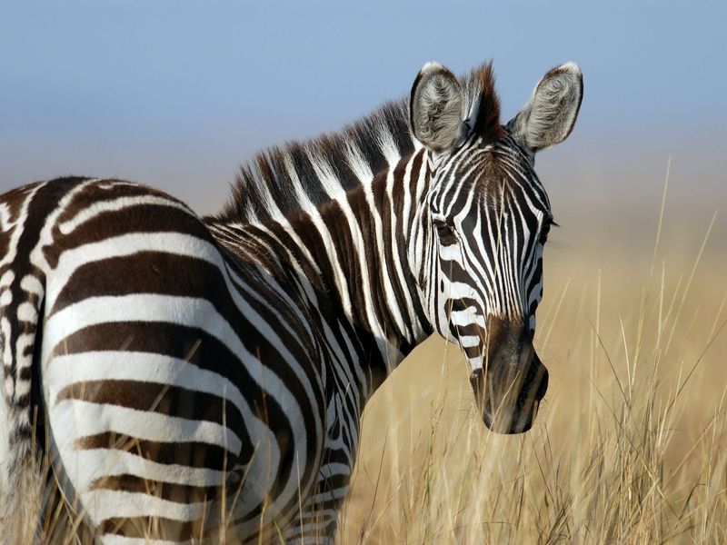 Vacant Land Residential For Sale in Vaal Marina Central - Photo 6