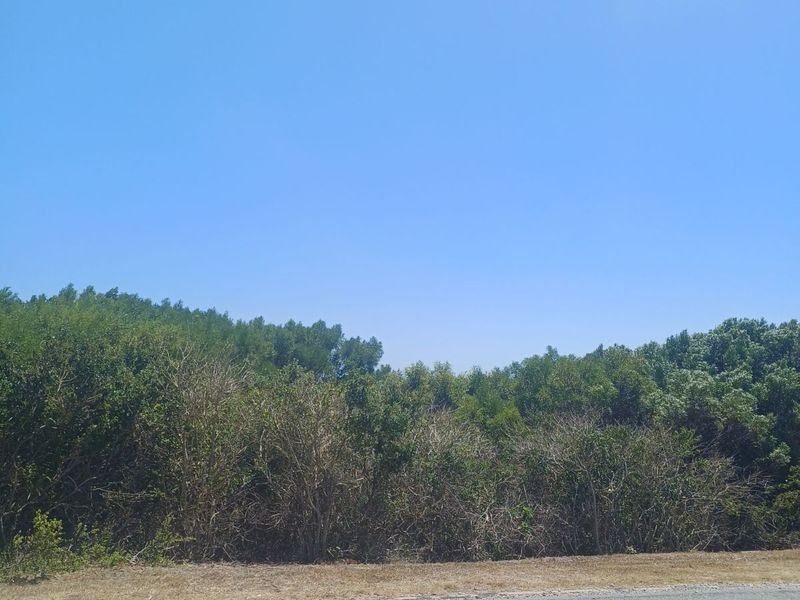 Vacant Land Residential For Sale in St Francis On Sea Phase I I - Photo 4