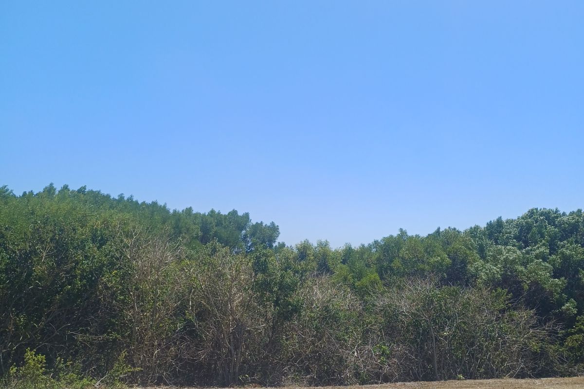 Vacant Land Residential For Sale in St Francis On Sea Phase I I - Photo 4