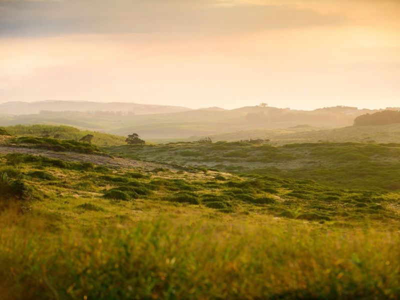 Vacant Land Residential For Sale in Seaton Estate - Photo 3
