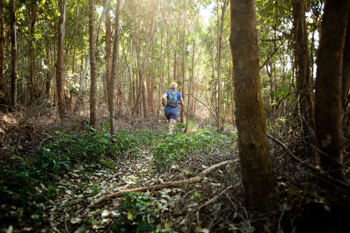Vacant Land Residential For Sale in Seaton Estate - Photo 2