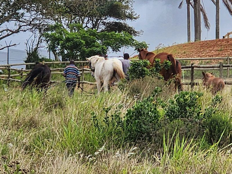 Vacant Land Residential For Sale in Seaton Estate - Photo 3