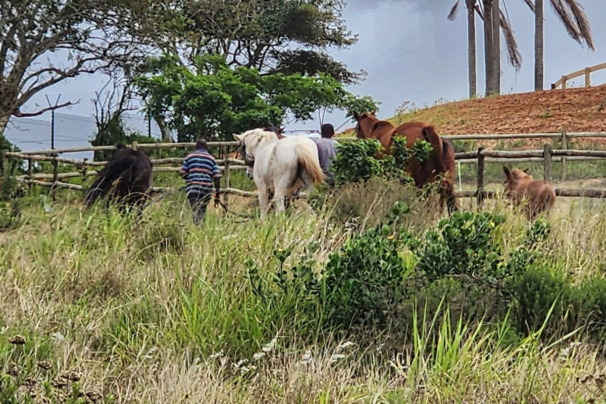 Vacant Land Residential For Sale in Seaton Estate - Photo 3