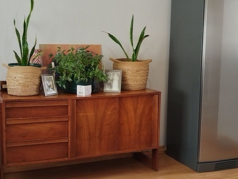 Townhouse To Rent in Sunninghill - Photo 3