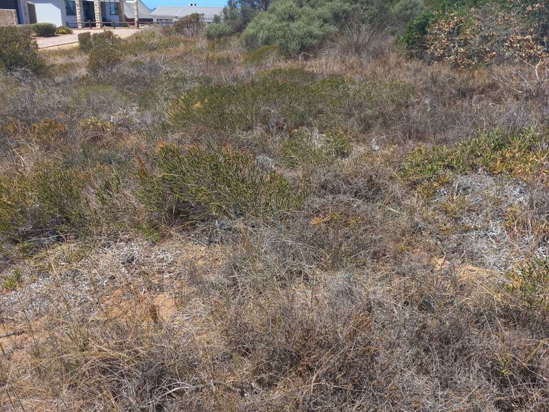 Vacant Land Residential For Sale in Jongensfontein - Photo 6