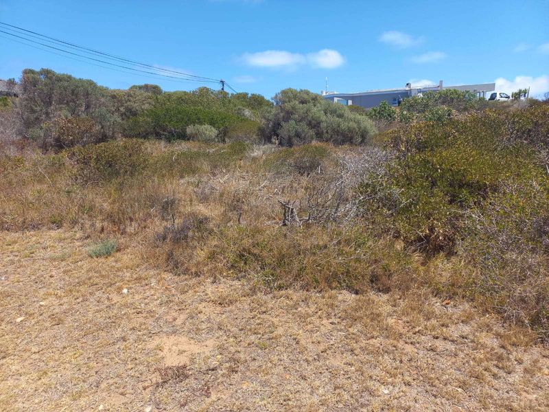 Vacant Land Residential For Sale in Jongensfontein - Photo 10