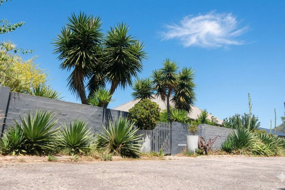 House For Sale in Die Eiland - Photo 2