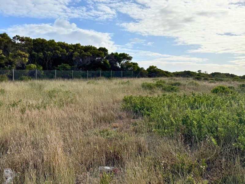 Vacant Land Residential For Sale in Kleinbaai - Photo 2