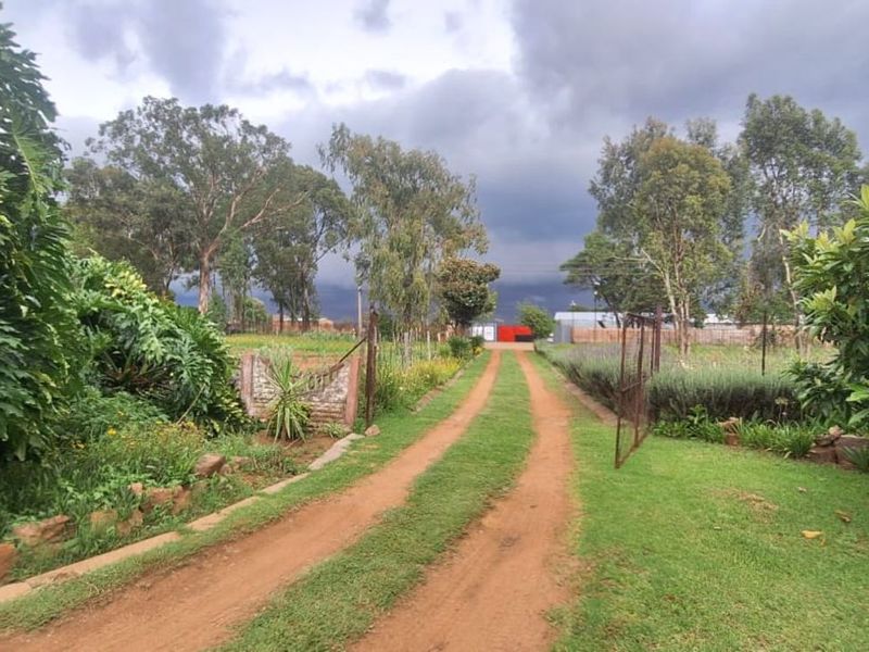 Farm For Sale in Wheatlands AH - Photo 4