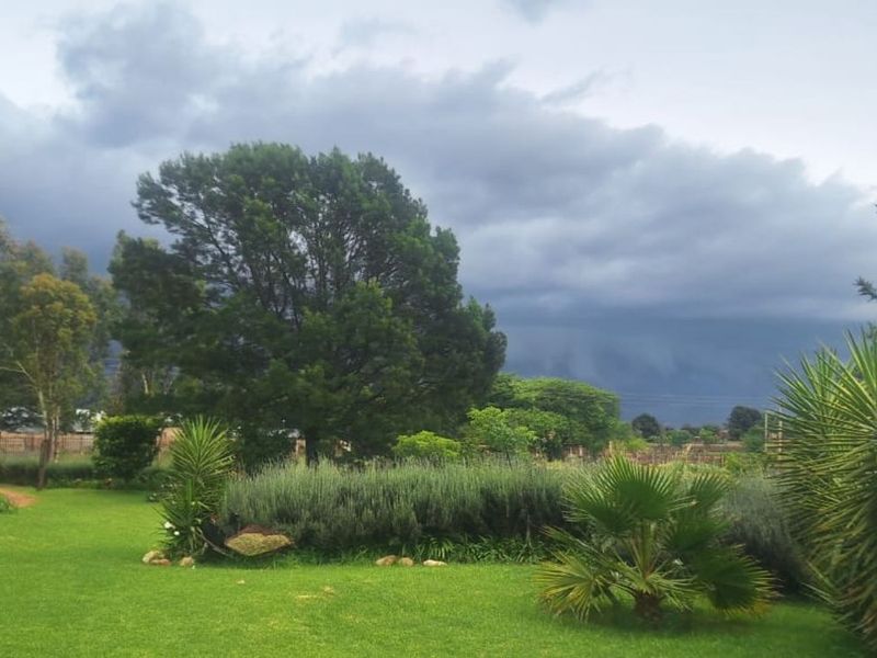 Farm For Sale in Wheatlands AH - Photo 7