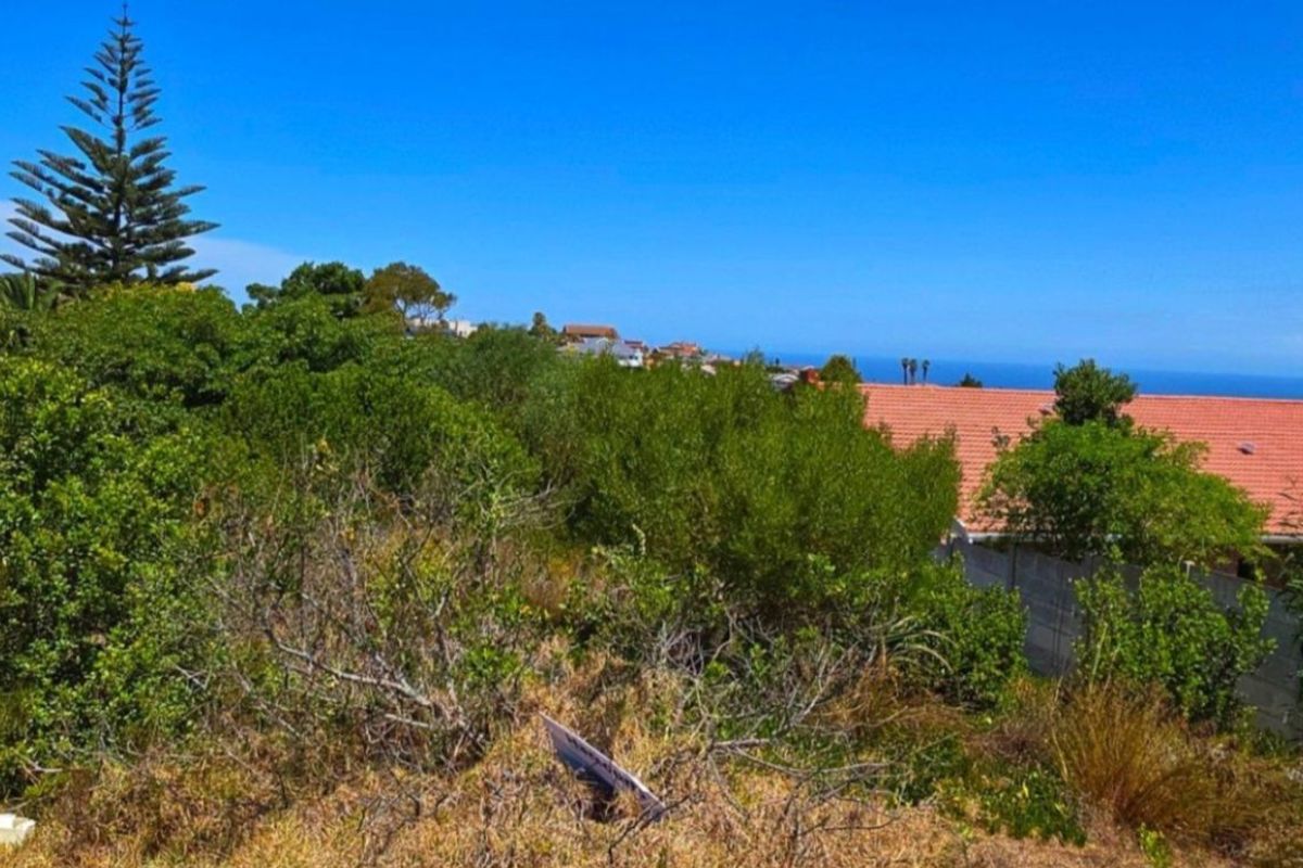 Vacant Land Residential For Sale in Dana Bay - Photo 2