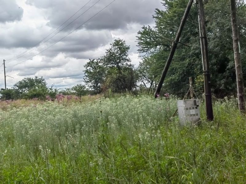 Farm For Sale in Hartebeeshoek - Photo 6