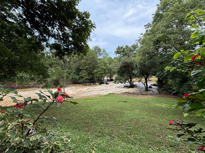 Farm For Sale in Lushof AH - Photo 6