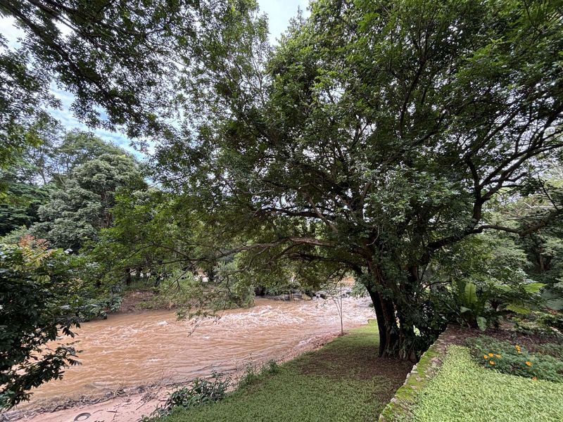 Farm For Sale in Lushof AH - Photo 10