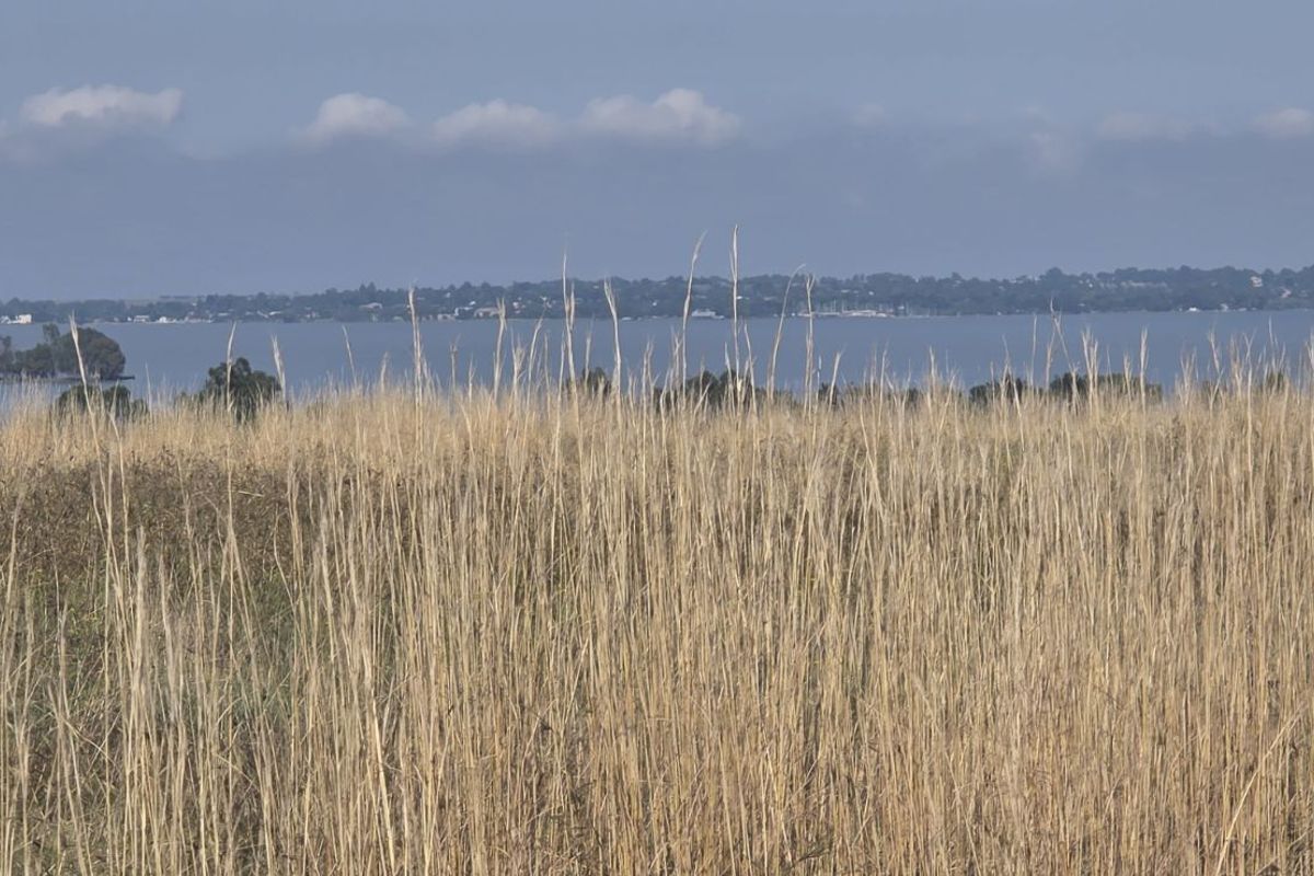 Vacant Land Residential For Sale in Vaal Marina Central - Photo 3