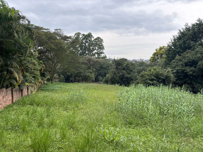 Vacant Land Residential For Sale in Tzangeni - Photo 4