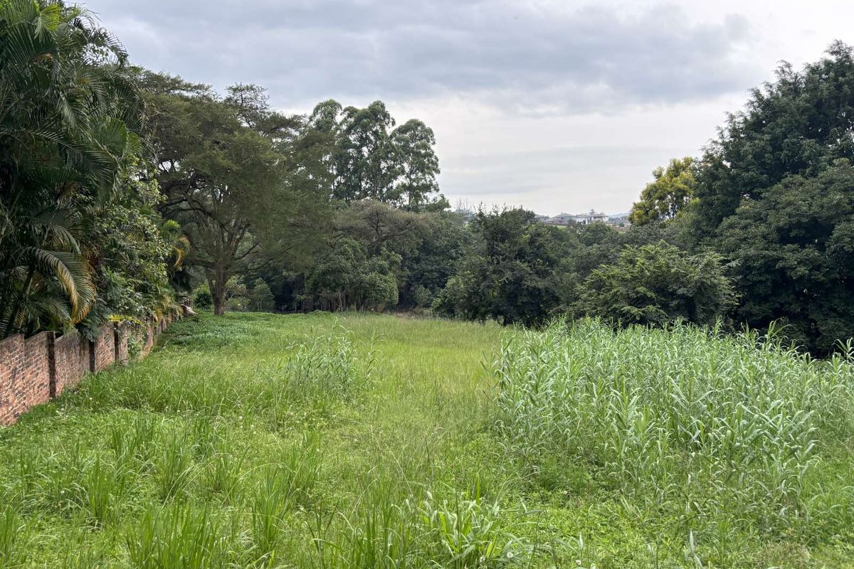 Vacant Land Residential For Sale in Tzangeni - Photo 4