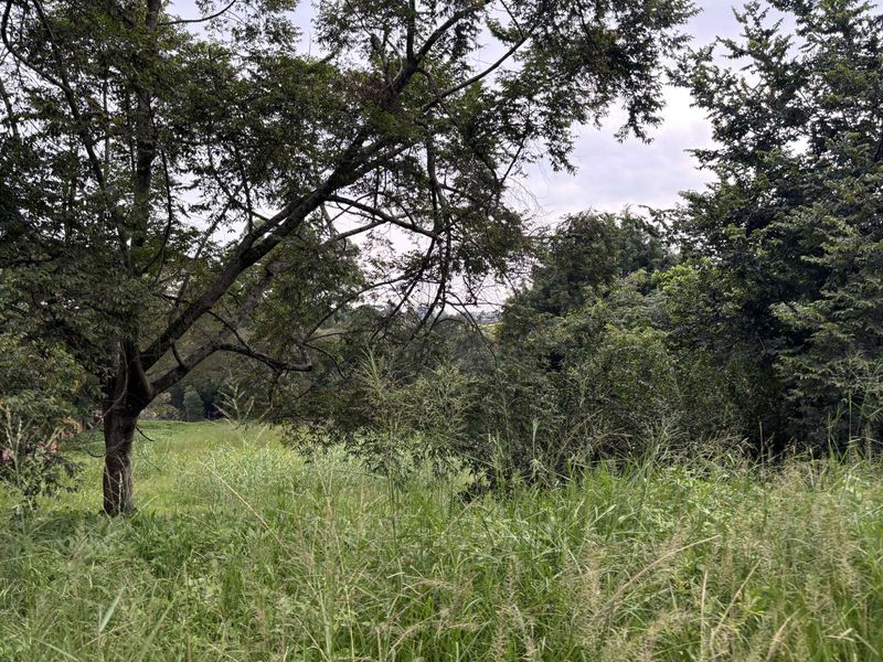 Vacant Land Residential For Sale in Tzangeni - Photo 3