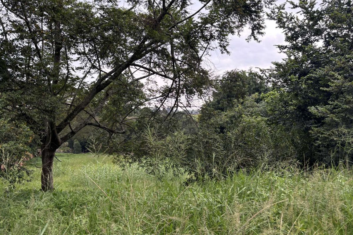 Vacant Land Residential For Sale in Tzangeni - Photo 3