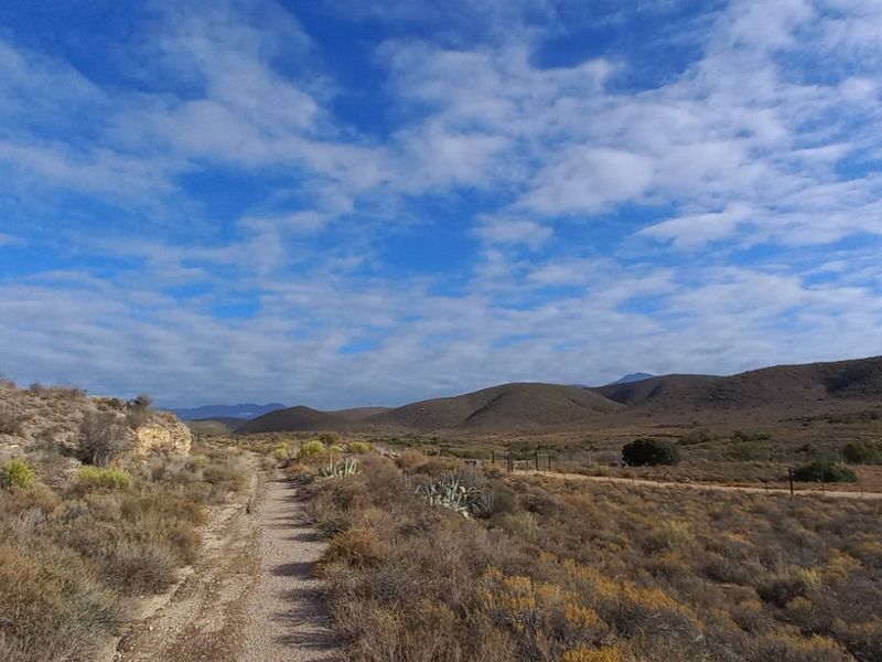 Farm For Sale in Calitzdorp Rural - Photo 3