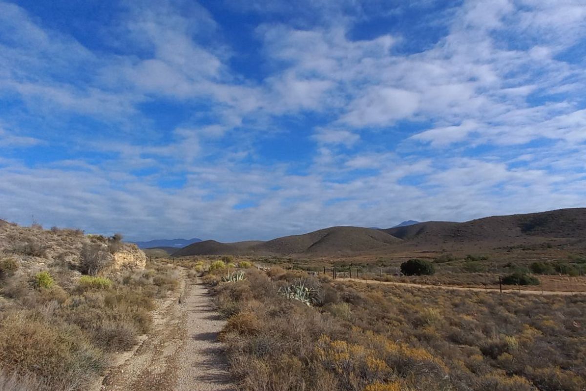 Farm For Sale in Calitzdorp Rural - Photo 3