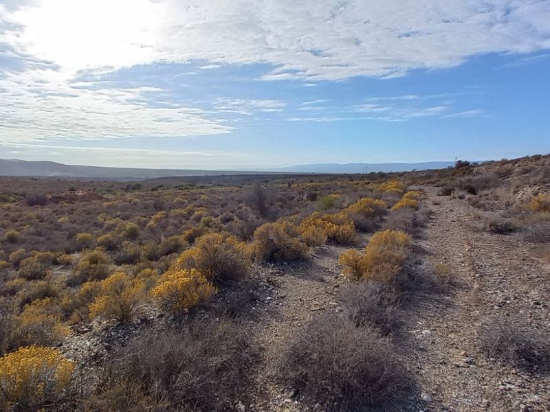 Farm For Sale in Calitzdorp Rural - Photo 5