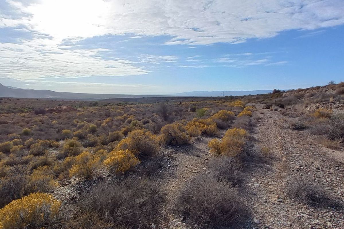 Farm For Sale in Calitzdorp Rural - Photo 5