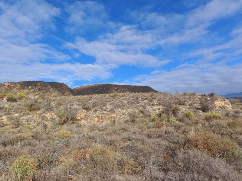 Farm For Sale in Calitzdorp Rural - Photo 2