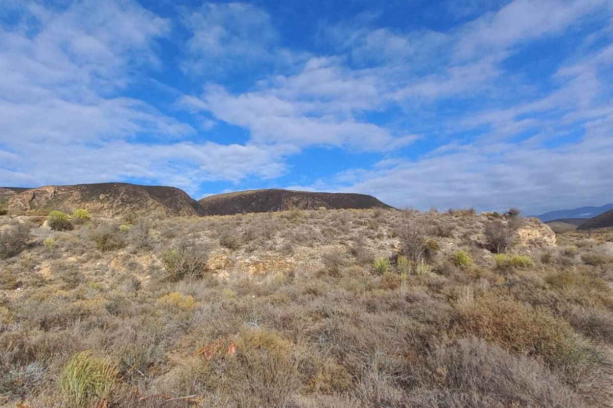 Farm For Sale in Calitzdorp Rural - Photo 2