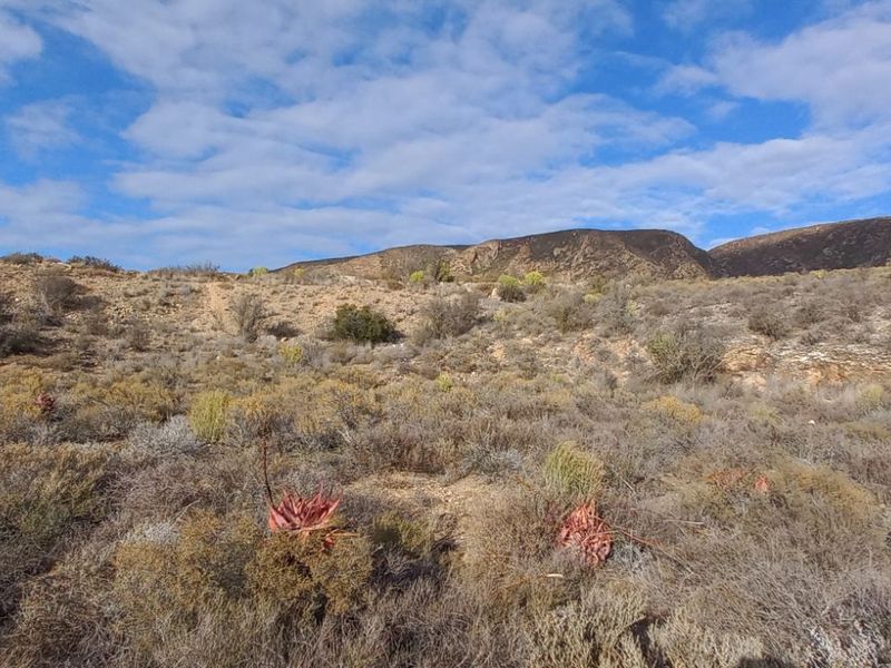 Farm For Sale in Calitzdorp Rural - Photo 4