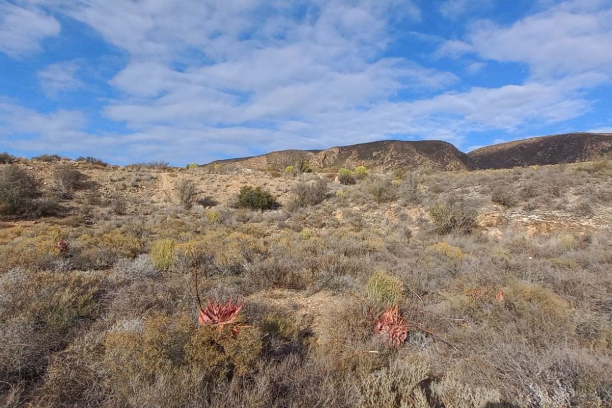 Farm For Sale in Calitzdorp Rural - Photo 4