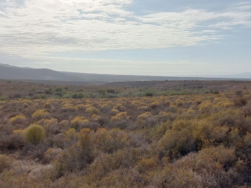 Farm For Sale in Calitzdorp Rural - Photo 9