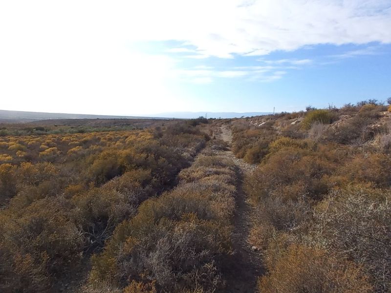 Farm For Sale in Calitzdorp Rural - Photo 8