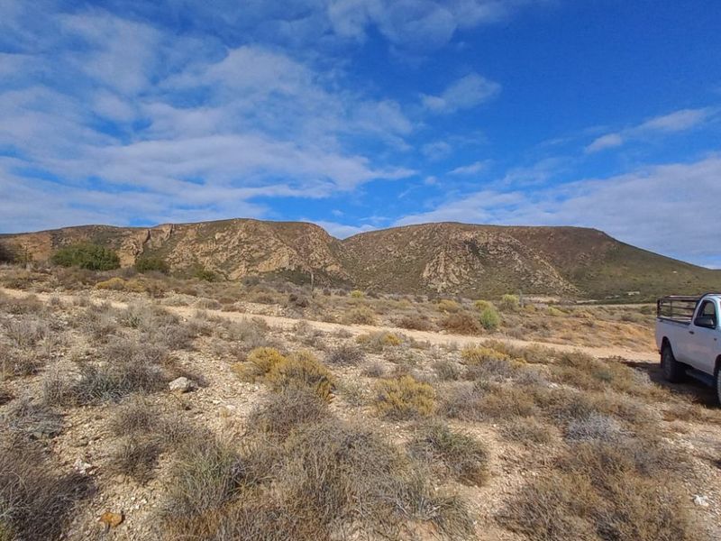 Farm For Sale in Calitzdorp Rural - Photo 7