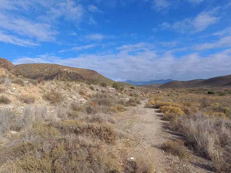 Farm For Sale in Calitzdorp Rural - Photo 6