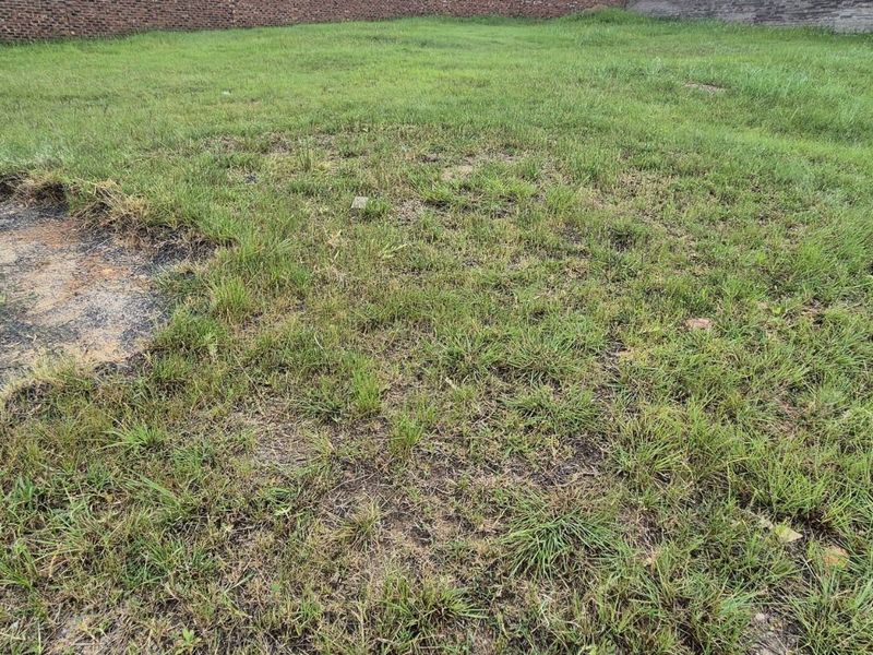 Vacant Land Residential For Sale in Lydenburg Central - Photo 5