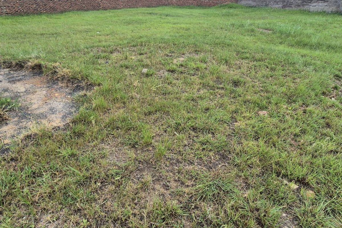 Vacant Land Residential For Sale in Lydenburg Central - Photo 5