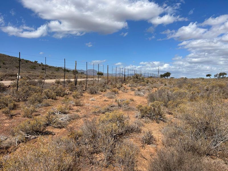 Farm For Sale in Ladismith Rural - Photo 8