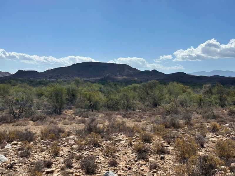 Farm For Sale in Ladismith Rural - Photo 5